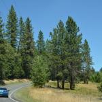 OTRA2013_0937 (July 12, 2013)